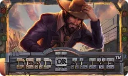 Win Unique offre il gioco online Dead or Alive II