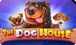 Win Unique offre il gioco online The Dog House
